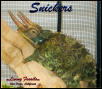 Snickers 09