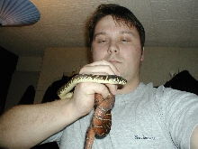 my boelens