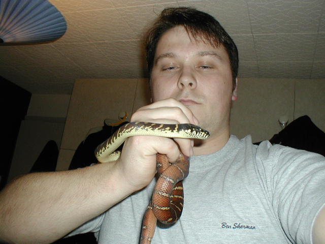 my boelens