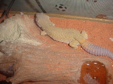 My new male I just got
