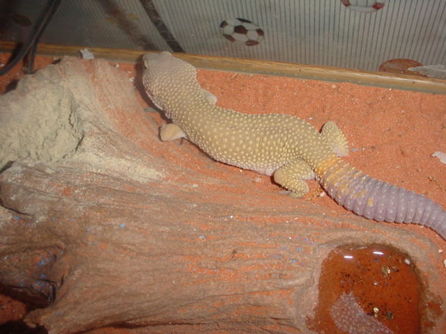 My new male I just got