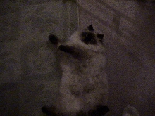micky relaxing again