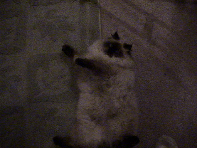 micky relaxing again