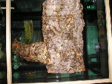 cork bask 2