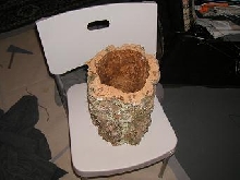 cork bark