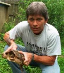 Common Snapper