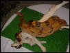 red tail