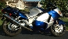 Sunlit Busa
