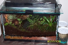VIVARIUM