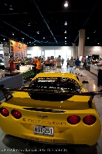 kingsnake.com' Reptile Powered Racecar at the 2009 NRBE