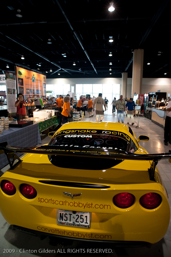 kingsnake.com' Reptile Powered Racecar at the 2009 NRBE