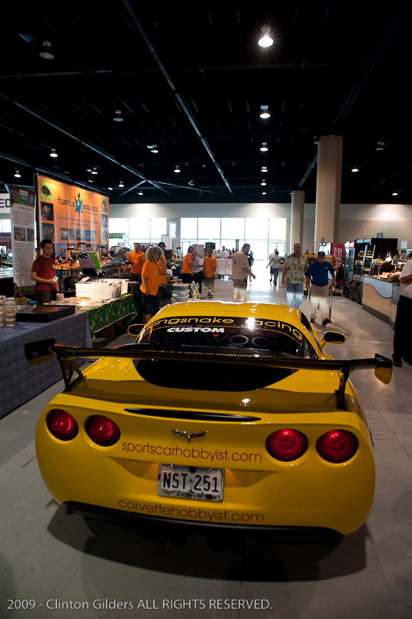 kingsnake.com' Reptile Powered Racecar at the 2009 NRBE