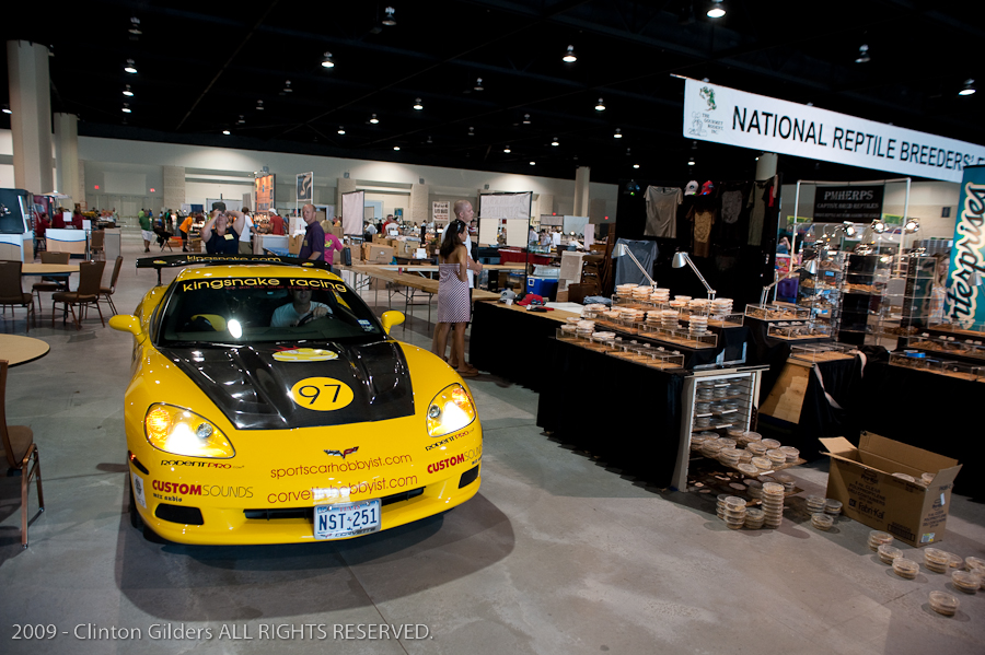 kingsnake.com' Reptile Powered Racecar at the 2009 NRBE