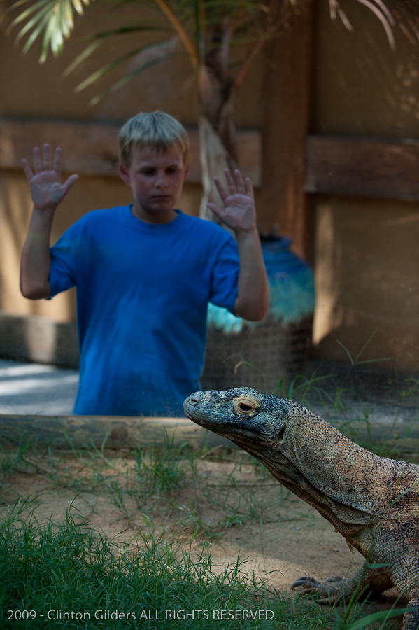 kingsnake.com staff visit the St. Augustine Zoological Park and Alligator F