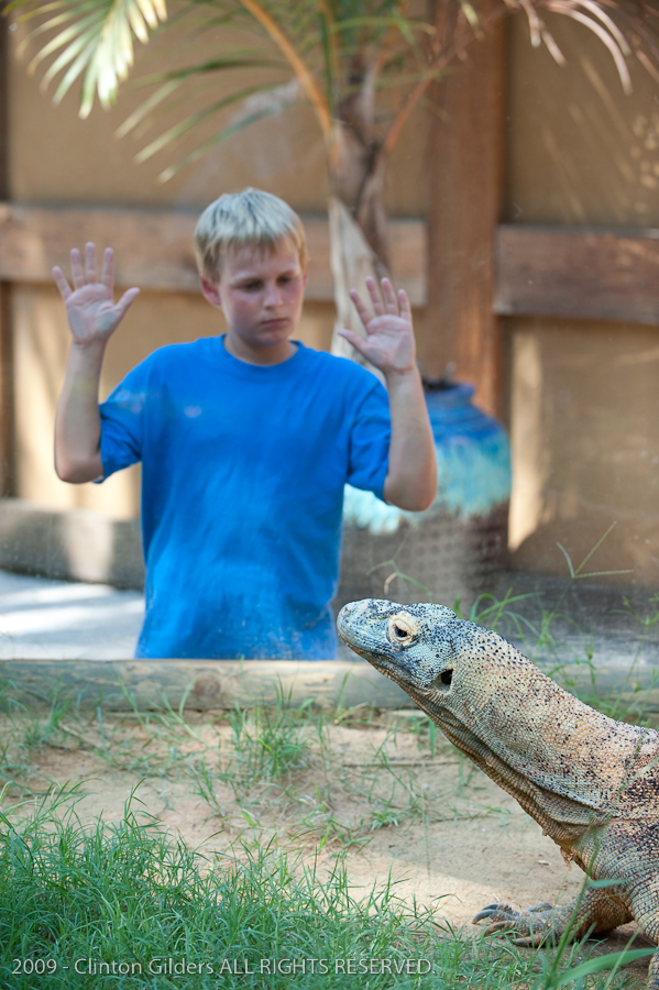 kingsnake.com staff visit the St. Augustine Zoological Park and Alligator F