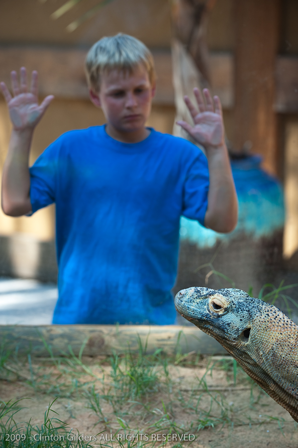 kingsnake.com staff visit the St. Augustine Zoological Park and Alligator F
