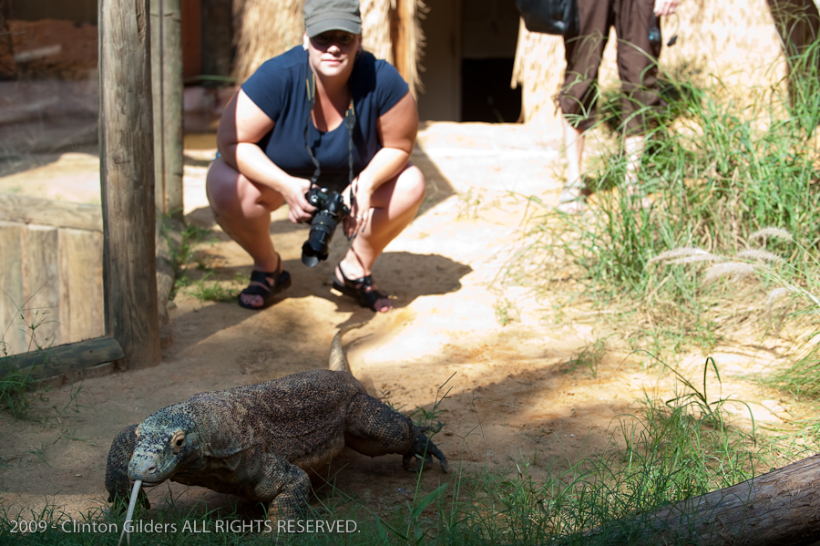 kingsnake.com staff visit the St. Augustine Zoological Park and Alligator F