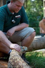 kingsnake.com staff visit the St. Augustine Zoological Park and Alligator F