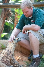 kingsnake.com staff visit the St. Augustine Zoological Park and Alligator F