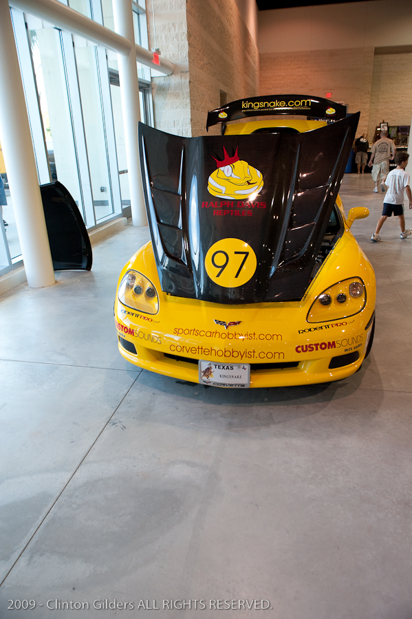 kingsnake.com' Reptile Powered Racecar at the 2009 NRBE