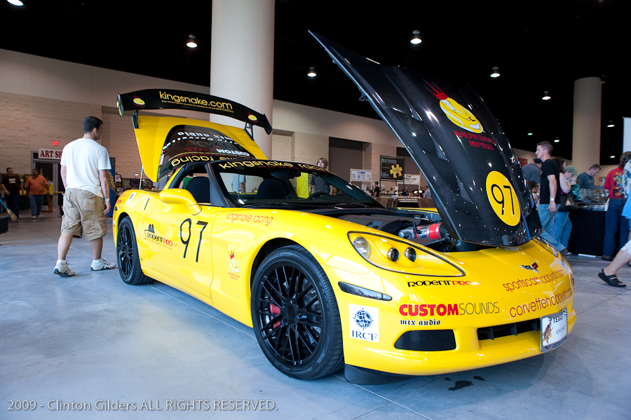 kingsnake.com' Reptile Powered Racecar at the 2009 NRBE