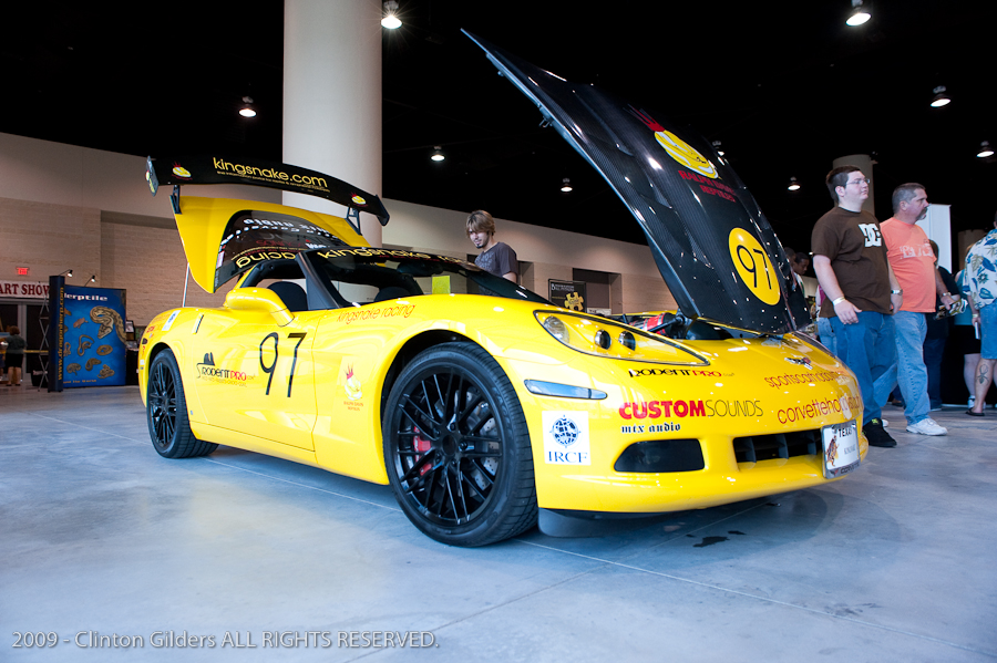 kingsnake.com' Reptile Powered Racecar at the 2009 NRBE