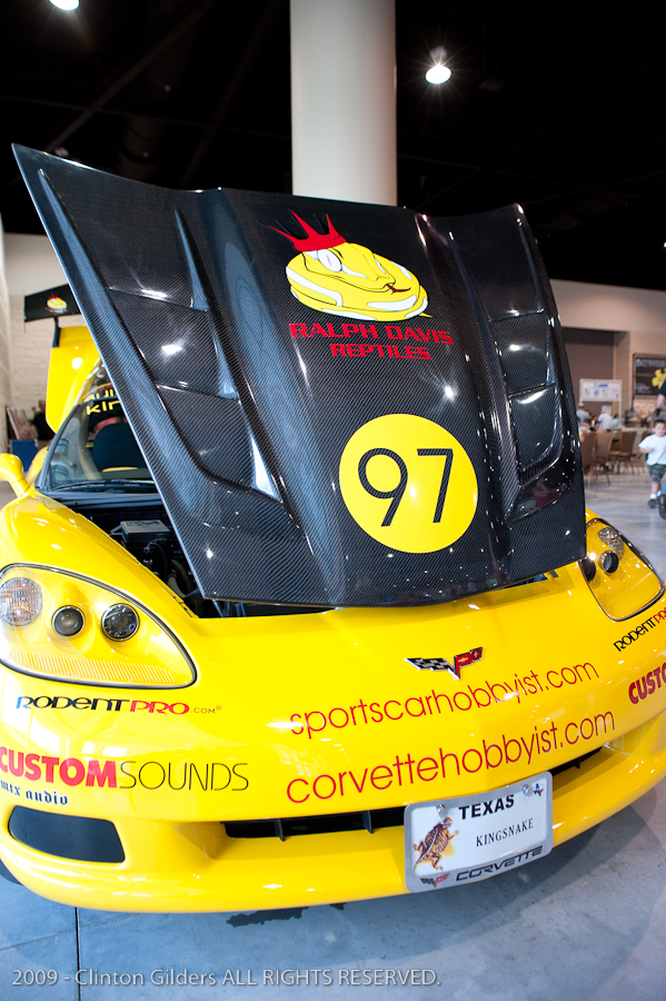 kingsnake.com' Reptile Powered Racecar at the 2009 NRBE