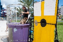 Action at the kingsnake.com charity dunk tank.