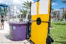 Action at the kingsnake.com charity dunk tank.