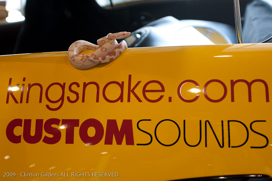 kingsnake.com' Reptile Powered Racecar at the 2009 NRBE