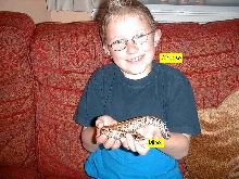 Young blood python and owner