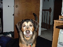 Abby saying hello!