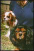 Bobbie & Beanie