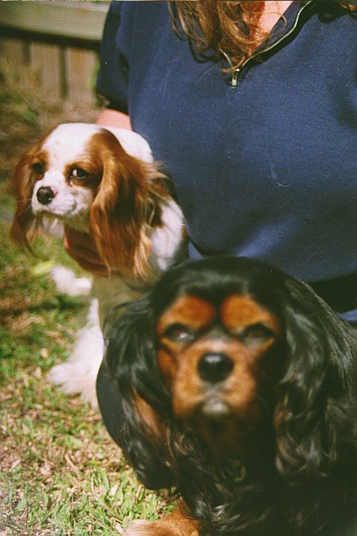 Bobbie & Beanie