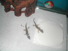 My 2 babies :)