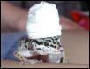 Talibandit