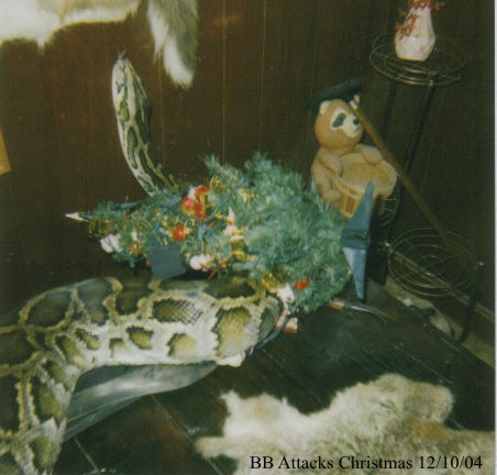 B.B. Attacks X-Mas 2004