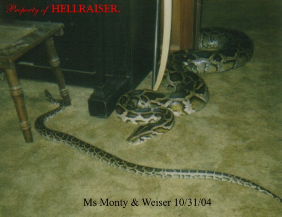 Ms. Monty & Weiser