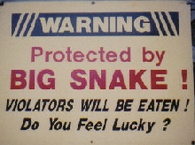 BIG SNAKE!