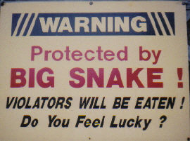 BIG SNAKE!