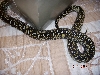 2006 Male Diamond