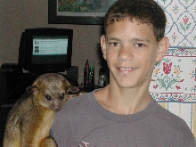 my kinkajou and I