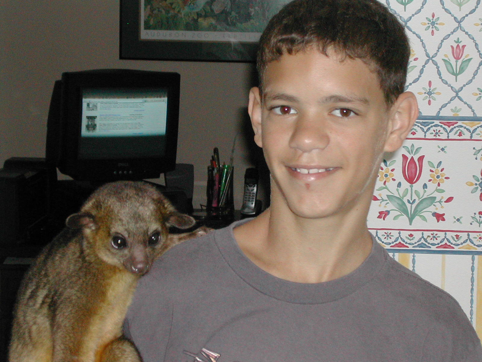 my kinkajou and I