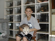 Percy the Oppossum