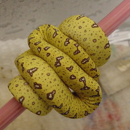 2003 Baby Chondro