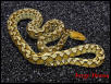 Sulawesi