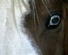 Em's left eye