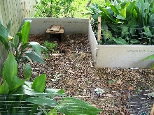 box turtle pen