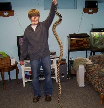 7' plus