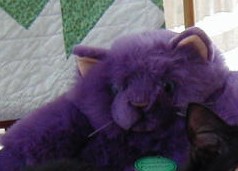 Purple Peppir